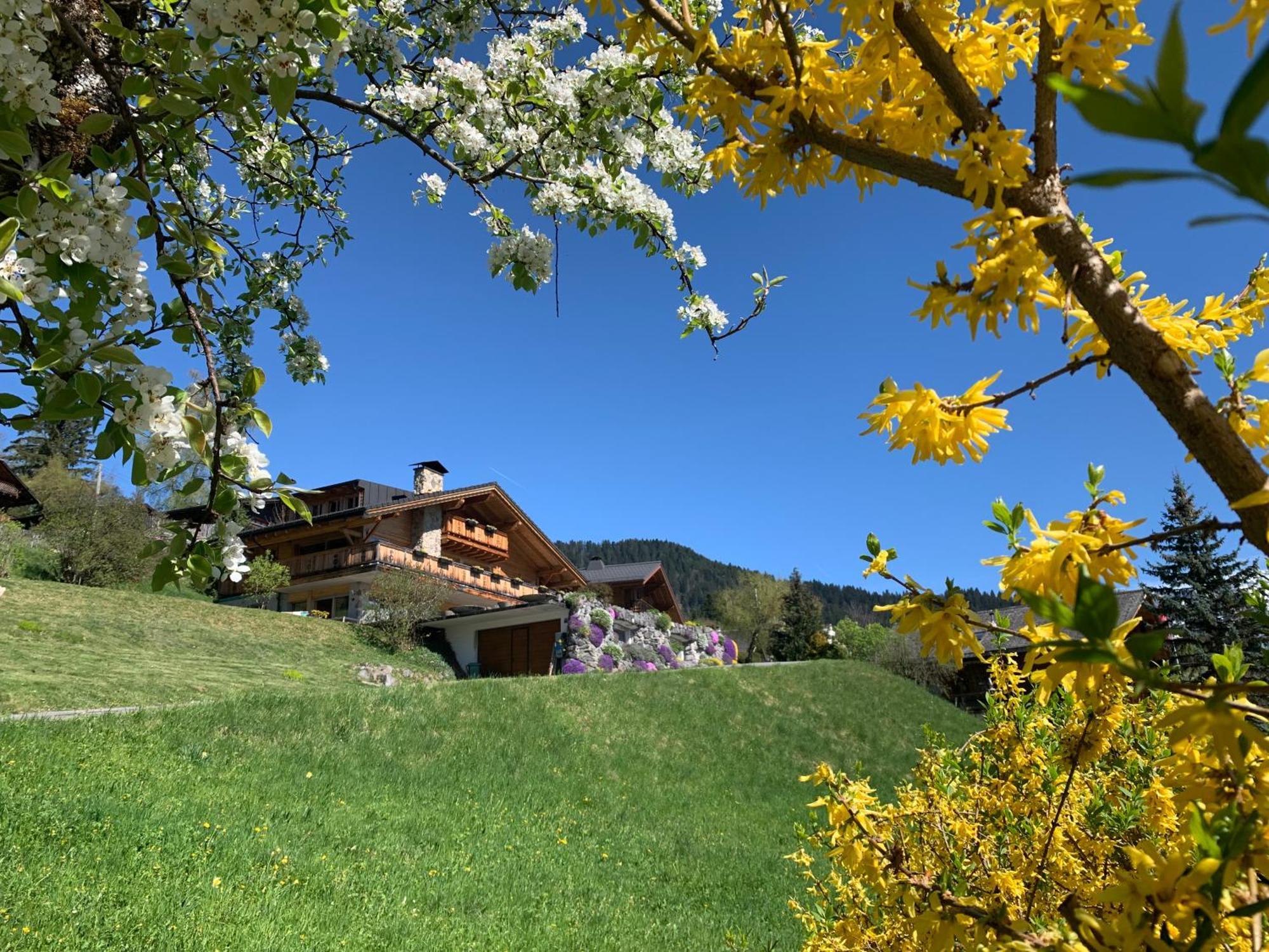 Chalet La Renarde فيلرز سور اولون المظهر الخارجي الصورة